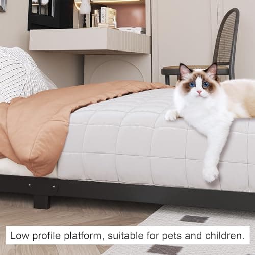 Heavy Duty Black 3 Inch Low Twin Bed Frame with Rounded Corners